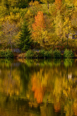 landscape with a mountain lake in autumn on a sunny day