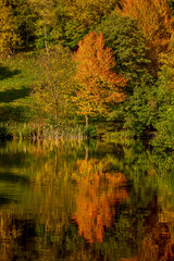 landscape with a mountain lake in autumn on a sunny day
