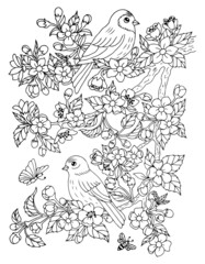 Illustration. The birds are sitting on the sakura tree. Coloring book. Antistress for adults and children. The work was done in manual mode. Black and white.