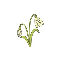 Single continuous line drawing beauty fresh galanthus of garden logo. Printable decorative snowdrop flower concept for home decor wall art poster print. Modern one line draw design vector illustration