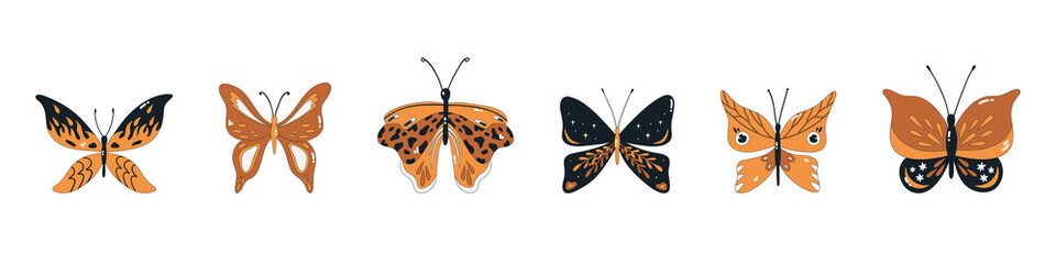 Set of elegant exotic butterflies and moths isolated on white background. Collection of tropical flying insects with colorful wings. Simple flat illustration with outline