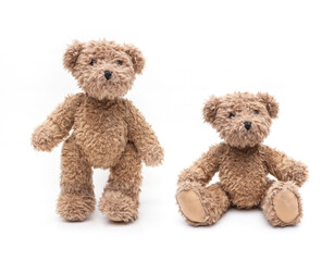 Teddybär sitzend und stehend isoliert auf weissem Hintergrund