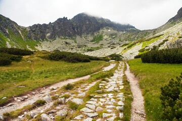 Fototapeta na wymiar Stone mountain trail High Tatras mountains