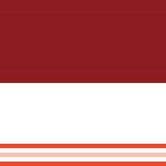 Orange Double Striped seamless pattern design