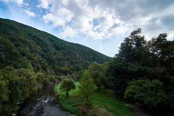 A mesmerizing shot of a landscape with a river surrounded by the green forest