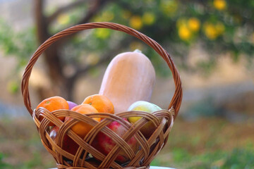 Vintage basket with butternut squash and various fruit in the garden. Selective focus.