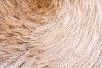 Fur texture top view. Brown fur background. Fur pattern. Texture of brown shaggy fur. Wool texture. Flaffy sheepskin close up