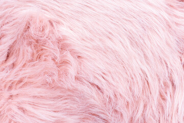 Pink fur texture top view. Pink sheepskin background. Fur pattern. Texture of pink shaggy fur. Wool texture. Sheep fur close up