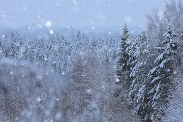 winter background snowfall trees abstract blurred white