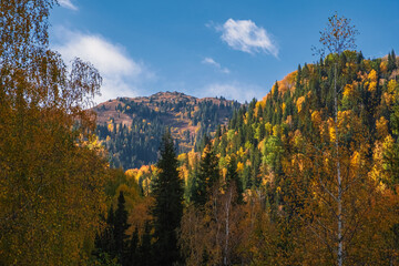Beautiful golden autumn in mountains landscape. Autumn forest background. Colorful red, orange, green forest in mountains. Dzhungarian Alatau in Kazakhstan. Tourism, travel concept.
