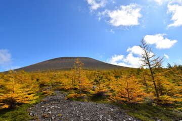 紅葉進む浅間山登山