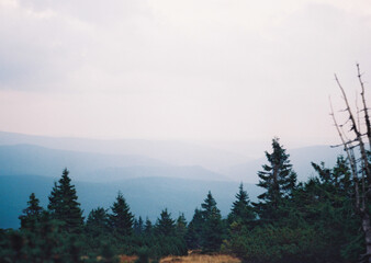 Shooting film in Beskydy mountains