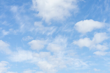 空

