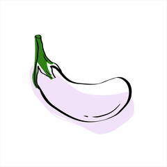 Fresh Raw Eggplant. Healthy vegetarian food. Organic.
Colored flat vector illustration of vegetables isolated on white background. Doodle style. Hand drawing.