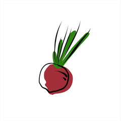 Radish. Fresh raw radish. Healthy vegetarian food. Organic.
Colored flat vector illustration of vegetables isolated on white background. Doodle style. Hand drawing.