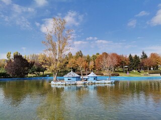 Obraz premium Lake and autumn landscape.