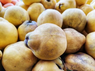 Yellow quinces.