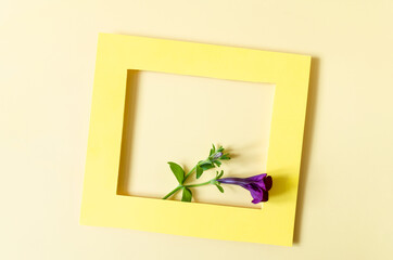 Color frame, with a decor of red flowers on a yellow background. Yellow paper photo frame and red flowers