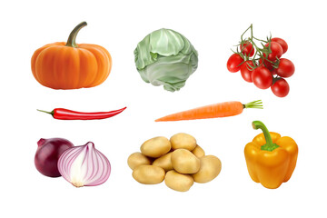 Realistic set of vegetables from the vegetable garden. Illustration