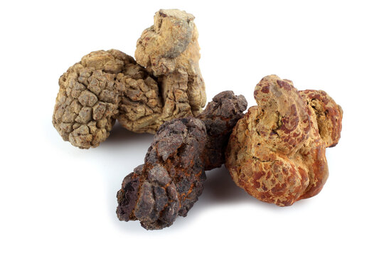 Unusual poo fossil, mineral sample