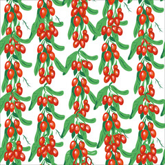Vector goji berries seamless pattern with branches on white background. Design for packaging, tea shop, drink menu, homeopathy and health care products