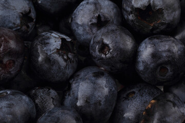 Blueberries bCKGROUND