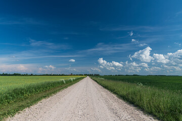 Gravel countryside road in summer afternoon.