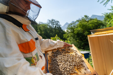 Caucasian female beekeeper inspecting honeycomb frame from beehive on mountains background. Happy Woman Beekeeper harvesting honey, work with bees in apiary. Honey making, small business, hobby