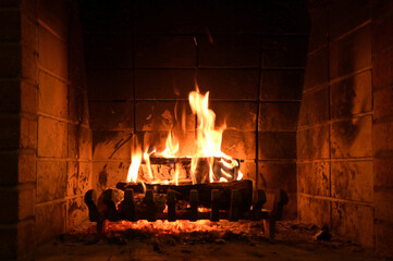 A bonfire with long flames burning a trunk, fireplace