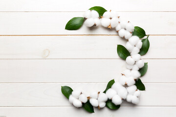 Autumn Floral Flat lay background composition. Dried white fluffy cotton flower branchwith green leaf top view on colored table with copy space