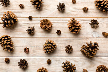 Obraz na płótnie Canvas pine cones on colored table. natural holiday background with pinecones grouped together. Flat lay. Winter concept