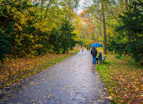 Herbstimpressionen im park 