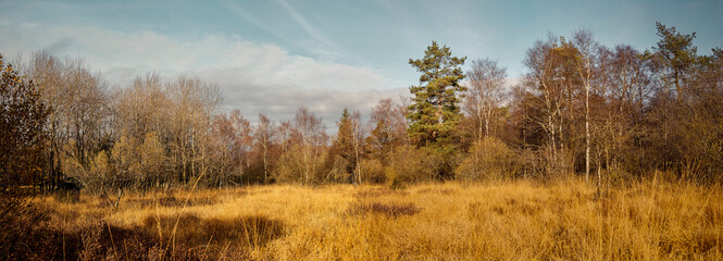 High Fens landscape in Fall. Forest in Autumn.