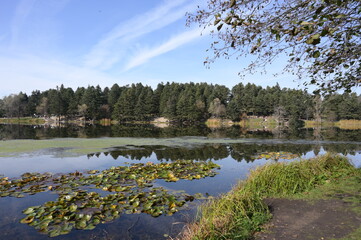 Beautiful view of Golcuk Lake in natural park, near Bolu - Turkey.