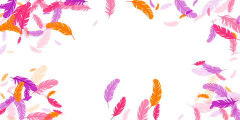 Orange purple pink red feather floating background