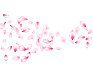 Spring tree flowers parts, airy flying petals