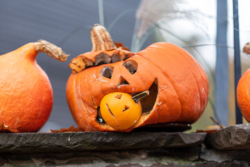 A big halloween pumpkin has a smaller baby halloween pumpkin in its mouth.