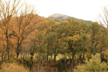 Castilla y León, León, Cistierna, Otoño.