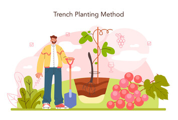 Wine production concept. Grape tree selection and cultivation.