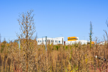 Autumn view with trees with colored leaves in one of the four seasons