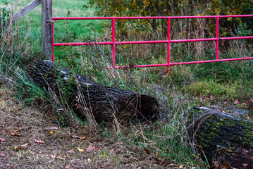 A dirt road with a red fence.