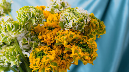 close up of yellow flowers