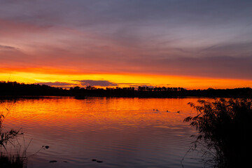 Sunset over the pond Rezabinec near Pisek town, Southern Bohemia, Czech Republic