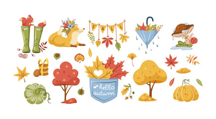 Set of autumn icon. Traditional fall attributes. Dry garden trees, yellow foliage, mushrooms, rubber boots, animals, seasonal harvest, umbrella, vegetable, pumpkin, seasonal harvest flat vector
