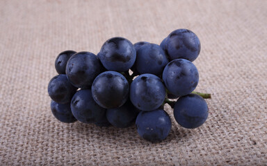 Wine grape on bagging