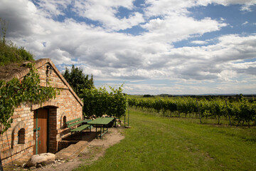Fototapeta na wymiar Wine cellars and vineyard in Palava region, Southern Moravia, Czech Republic