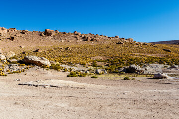 Landscape of El Tatio geothermal field with geyers in the Andes mountains, Atacama, Chile