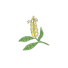 Single continuous line drawing of beauty fresh lollipop plant for home decor wall art poster print. Decorative pachystachys lutea for floral card frame. Modern one line draw design vector illustration