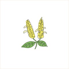 Single one line drawing beauty fresh pachystachys lutea for garden logo. Decorative lollipop plant flower for home decor wall poster print art. Modern continuous line draw design vector illustration