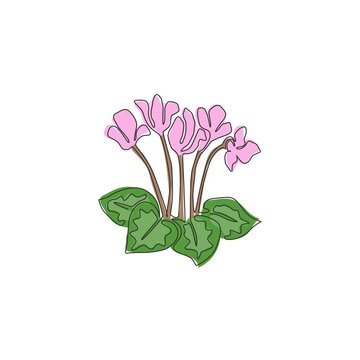 recommend clip art: Single continuous line drawing beauty fresh swinebread cyclemen for home decor wall art poster print. Decorative sowbread flower for floral card frame. Modern one line draw design vector illustration